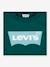 Camiseta Batwing LEVI'S® infantil verde pino 