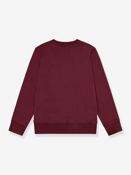 Sudadera Batwing Crewneck LEVI'S® infantil marrón 