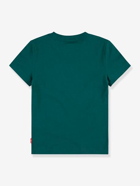 Camiseta Batwing LEVI'S® infantil verde pino 