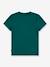 Camiseta Batwing LEVI'S® infantil verde pino 