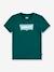 Camiseta Batwing LEVI'S® infantil verde pino 