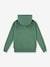 Sudadera con capucha LVB Lasso it up Hoodie LEVI'S verde 