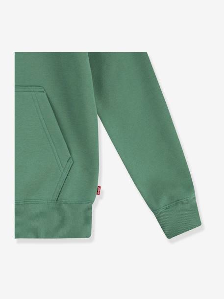 Sudadera con capucha LVB Lasso it up Hoodie LEVI'S verde 