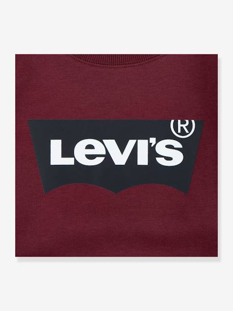 Sudadera Batwing Crewneck LEVI'S® infantil marrón 