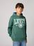 Sudadera con capucha LVB Sporty Hoodie LEVI'S azul+verde 