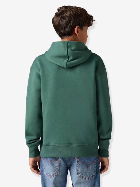 Sudadera con capucha LVB Sporty Hoodie LEVI'S azul+verde 