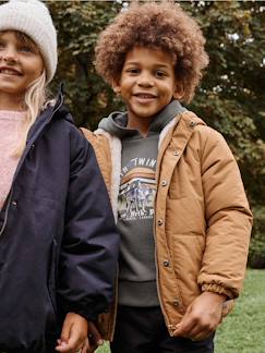 Niño-Jerséis, chaquetas de punto, sudaderas-Sudadera con capucha motivo gráfico y con mangas colorblock para niño