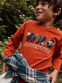 Niño-Camisetas y polos-Camiseta motivo "wild" de rizo para niño