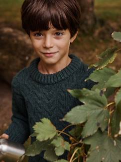 Niño-Jerséis, chaquetas de punto, sudaderas-Jersey de punto trenzado para niño