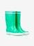 Botas de lluvia Lolly AIGLE® irisadas verde 