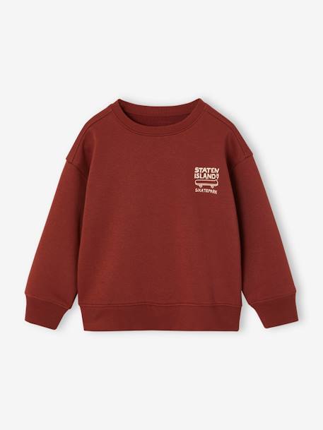 Sudadera con motivo en el pecho, para niño arcilla+pistacho 