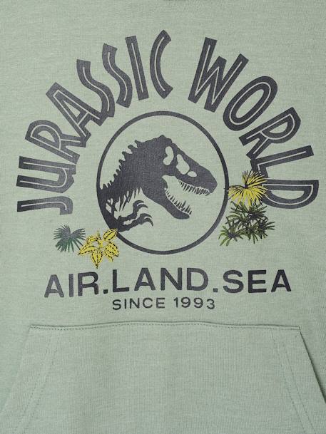 Sudadera con capucha JURASSIC WORLD® liquen 