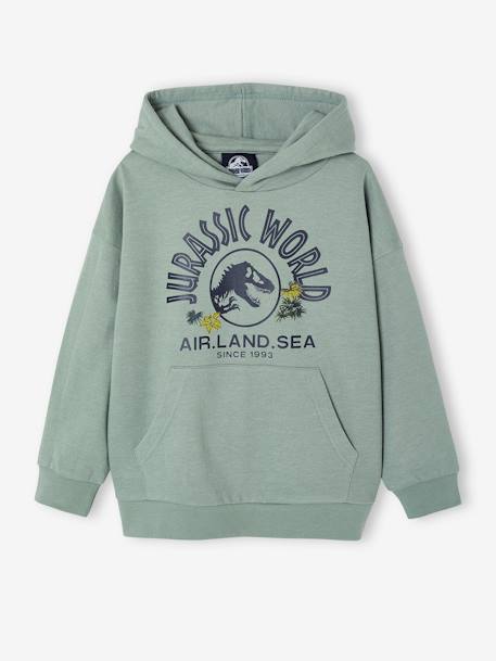 Sudadera con capucha JURASSIC WORLD® liquen 